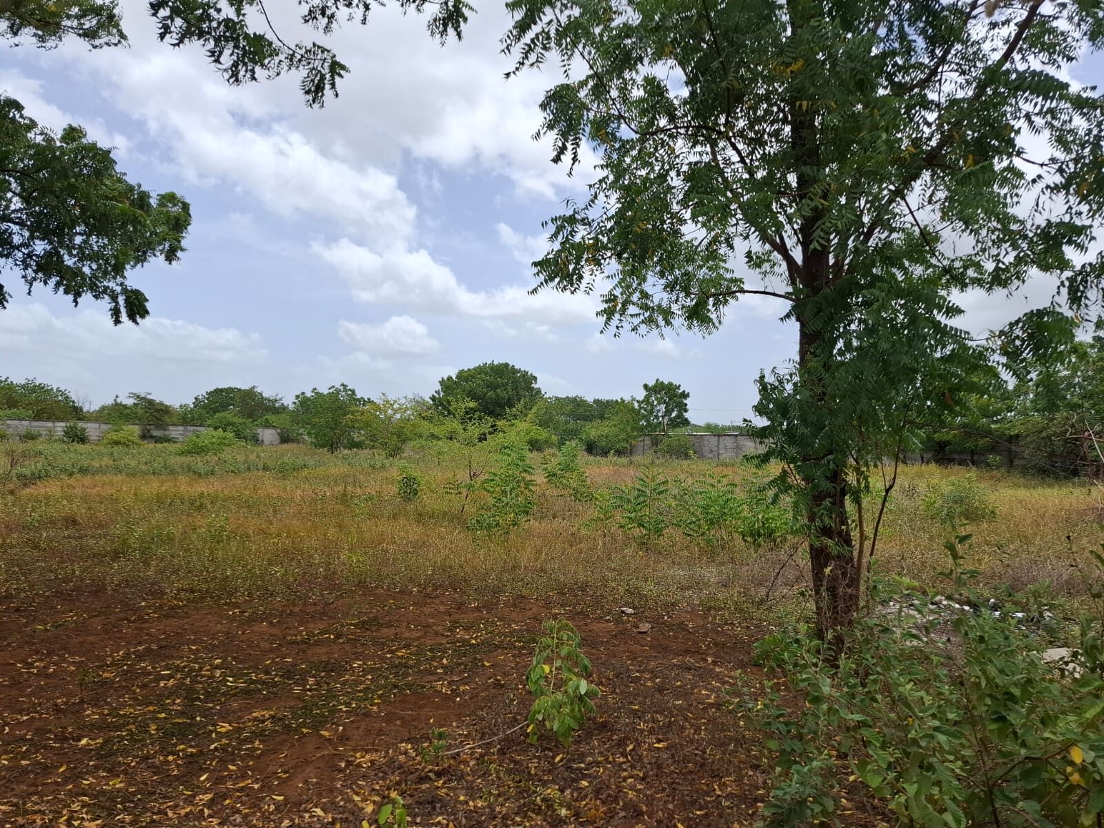 Vista abierta del terreno en Tipitapa